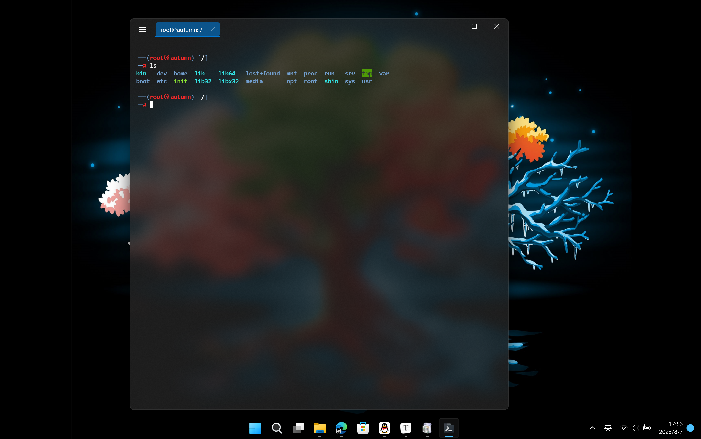 {79F3E00D-3165-4b93-81EC-AA9A859CD99F}