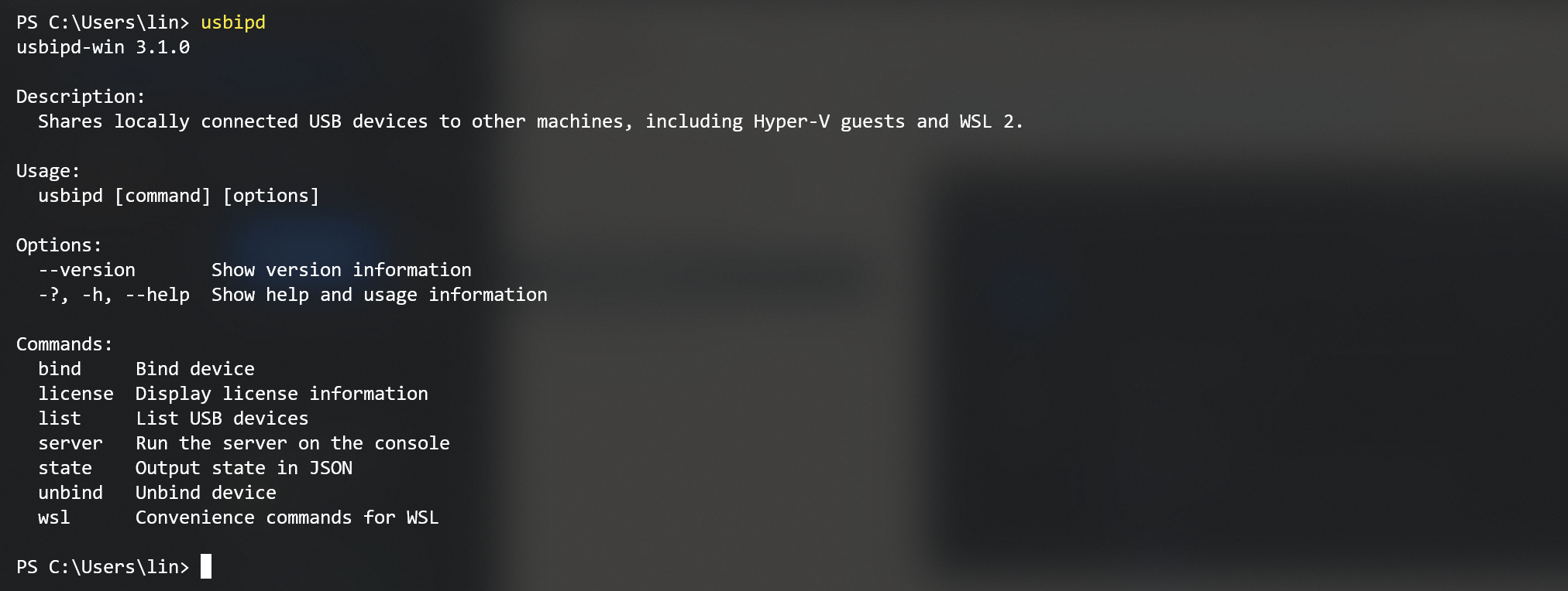 image-20230808174314643